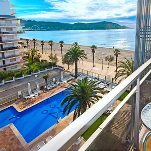 Monterrey By Pierre & 4* Roses
